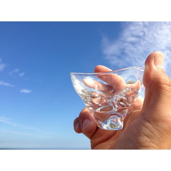 glasscalico グラスキャリコ ハンドメイド ガラス酒器 ミナモ ぐい呑 冷酒器