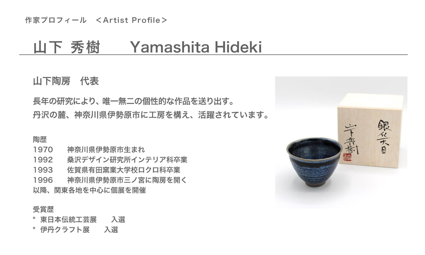 山下陶房 山下秀樹 銀化天目(ぎんかてんもく) 酒器揃 角片口 (蓋付) (小)・盃 2個